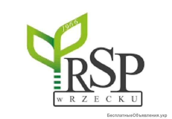 Работник на производство европоддонов RSP Rzecko (Польша)