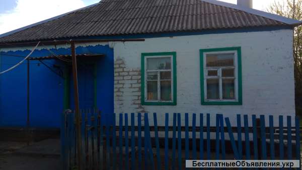 Дом с большим наделом земли