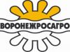 Требуется аудитор торговых точек