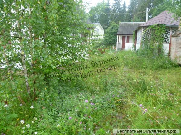 Покос травы, бурьяна, сухостоя