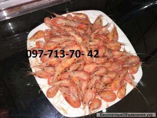 Креветка с черного моря