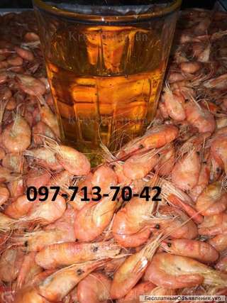 Креветка с первых рук