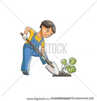 Разнорабочие