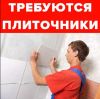 Работа плиточникам