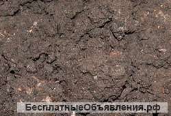 Торф (питательный грунт)
