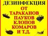 Дезинфекция круглосуточно и анонимно