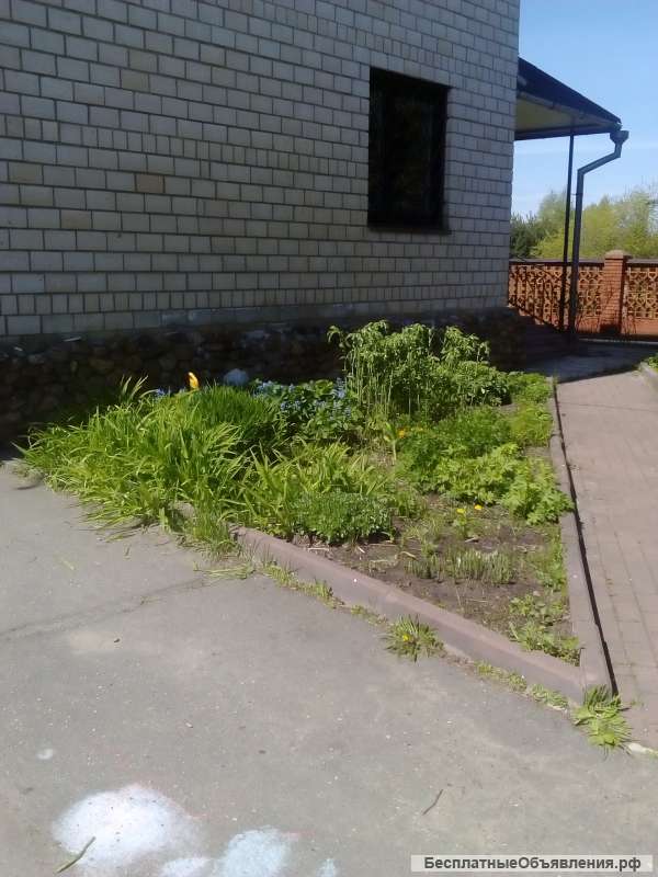 Котедж с бассейном барбекю