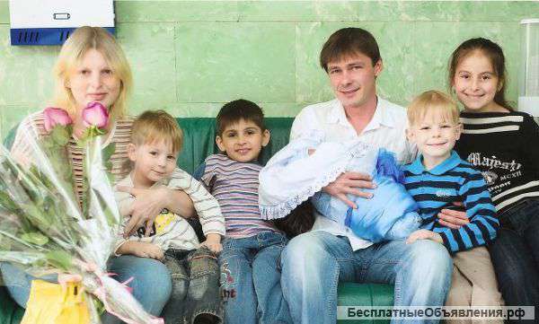 Семья Москвичей снимет недорого квартиру