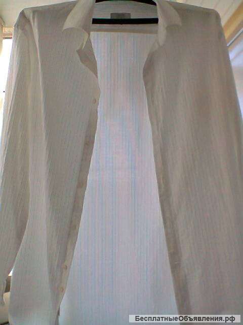 Рубашки мужские 50 размер