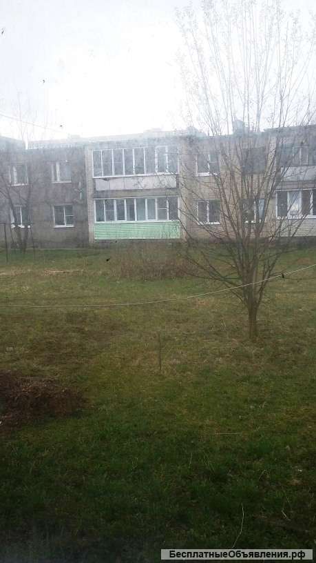 1- комнатная квартира д. Михали ул. Гагарина