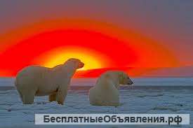 Набор текстов на русском языке