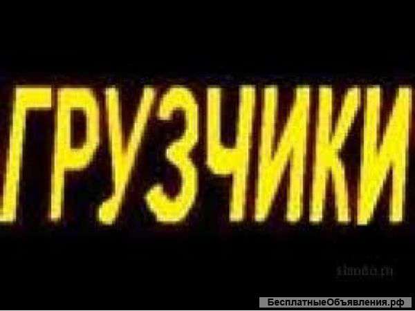 Услуги грузчика недорого