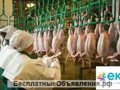 Упаковщики Ефремов вахта