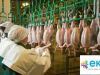 Упаковщики на птицефабрику Вахта