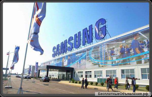 Сборщики вахтой 45/15