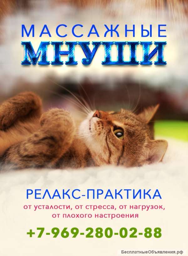 Массажные мнуши
