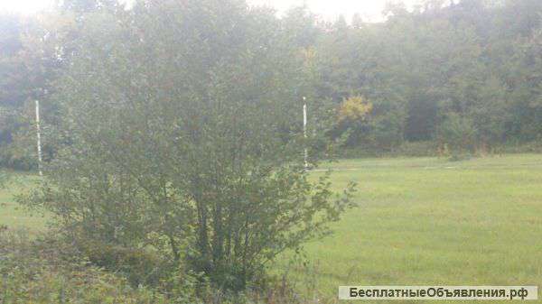 Участки в горячем ключе