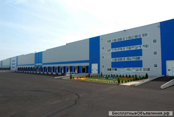 Комплектовщики 6/1