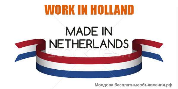 Работа на фабрике в Голландии