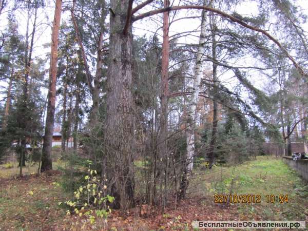 Коттедж у Клязьменского водохранилища