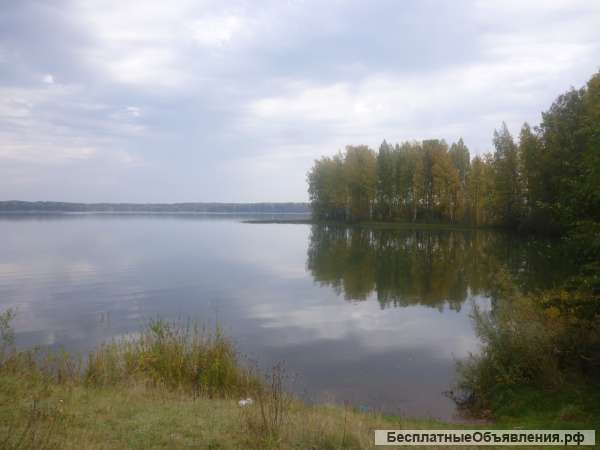 Участок 10 сот. (ИЖС)