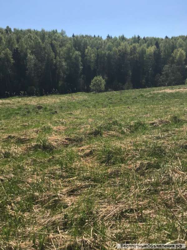 Участок дер Новоселка 8 соток