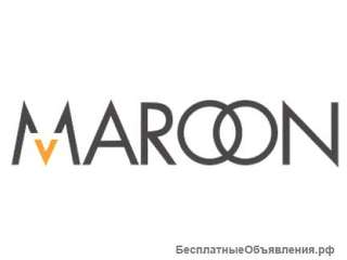 Зам по хозяйственной части