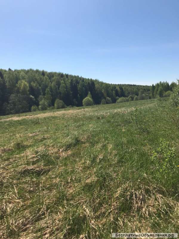 Земельный участок