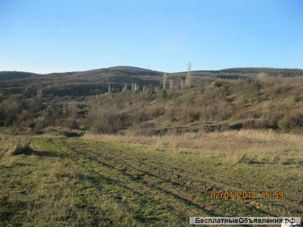 Девственная земля обетованная