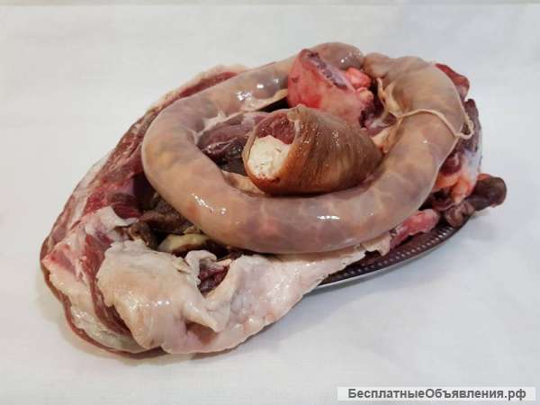 Свежая конина