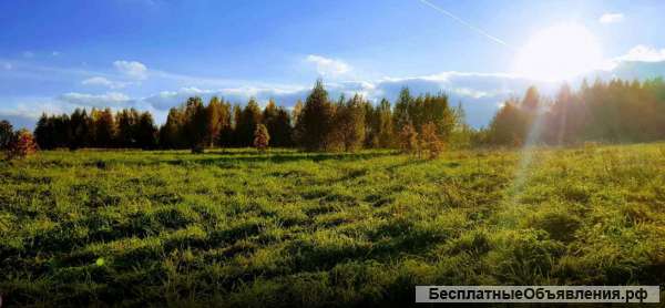 Участок около реки и леса