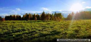 Участок около реки и леса