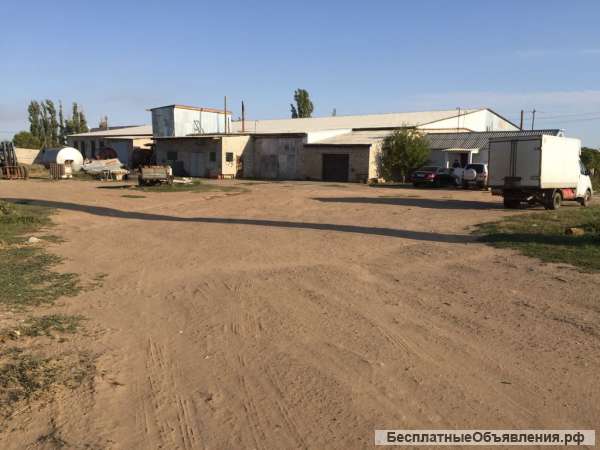 Промкомбинат. Выделка овчины и меха