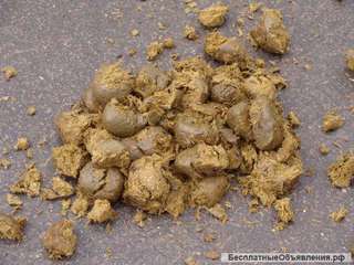 Навоз конский с доставкой