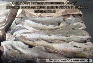 Рыба свежемороженая опт