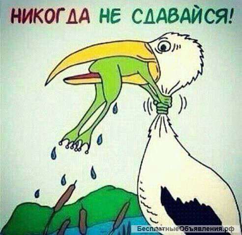 Помощь с выплатами по Каско и Осаго
