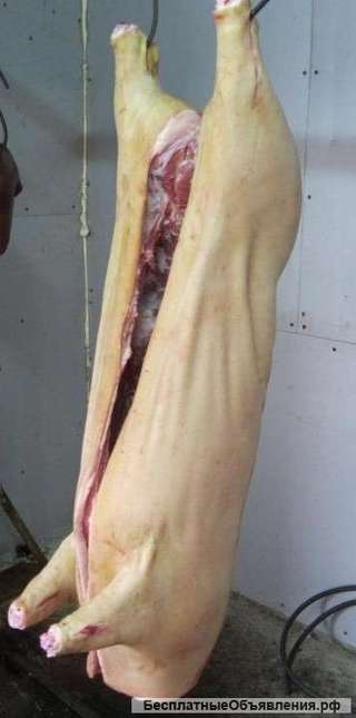 Мясо поросёнка