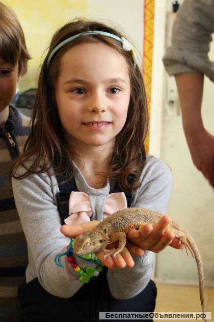 Частный детский сад Классическое образование