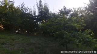 З/у 15 сот в Сочи.Адлерского р-на, ул.Черновицкая