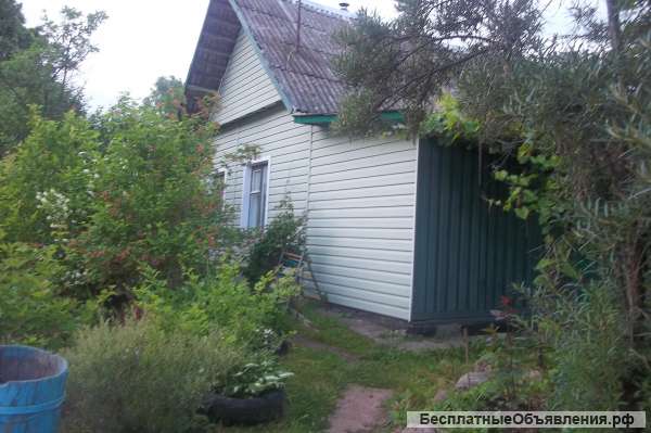 Дом-дачу с баней и хоз.постройками в Беларуси. Цена договорная.