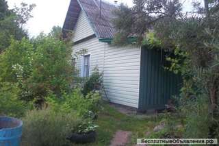 Дом-дачу с баней и хоз.постройками в Беларуси. Цена договорная.