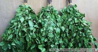 Березовые банные веники