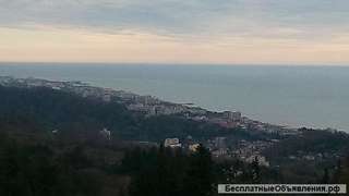 Земельный участок в Сочи 6,5 сот, с коммуникациями, плодоносным садом и видом на море