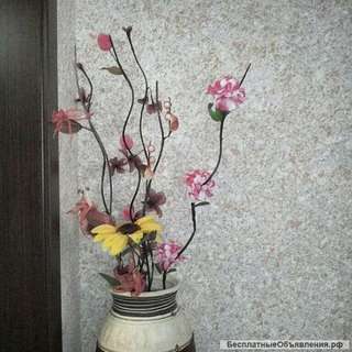 Услуги нанесения жидких обоев