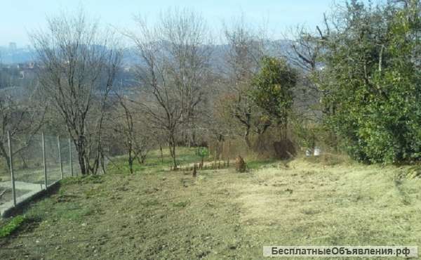 Земельный участок в Сочи на Вишневой