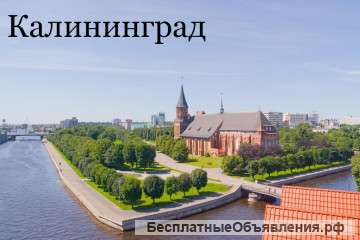 Жемчужины Балтики (проживание в Светлогорске) 7 дней