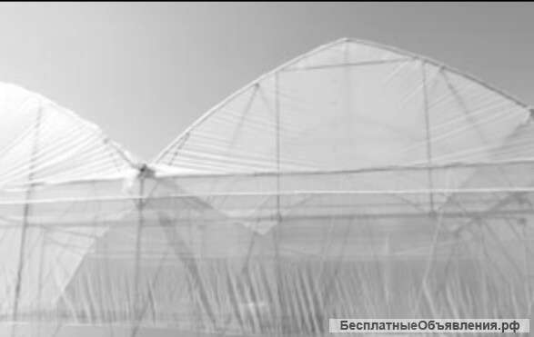 Тепличный комплекс 5 Га