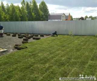 Рулонные газоны Сочи. Красиво и удобно