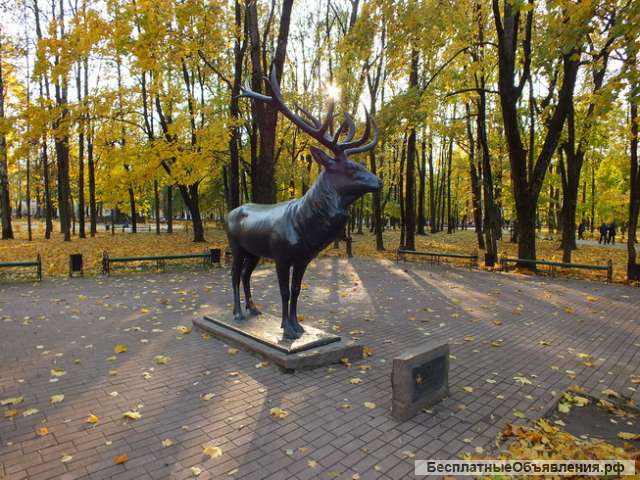 Экскурсии по Смоленску индивидуальные и для групп