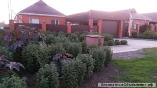 Новый дом 100 м2 в Краснодарском крае в центре в станице Выселки